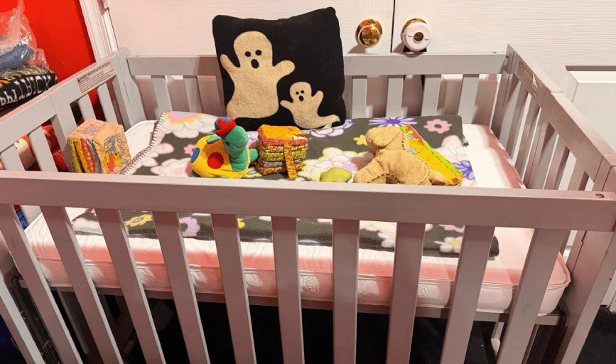 Comfortable Palace Day Care